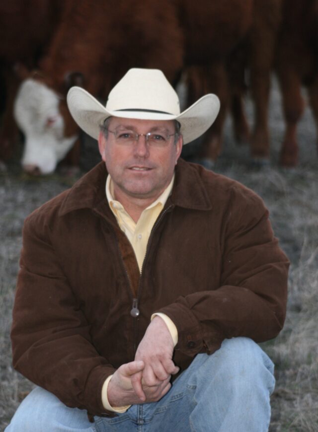 Image of Dan Probert crouching in field with cowboy hat and cows in the background.