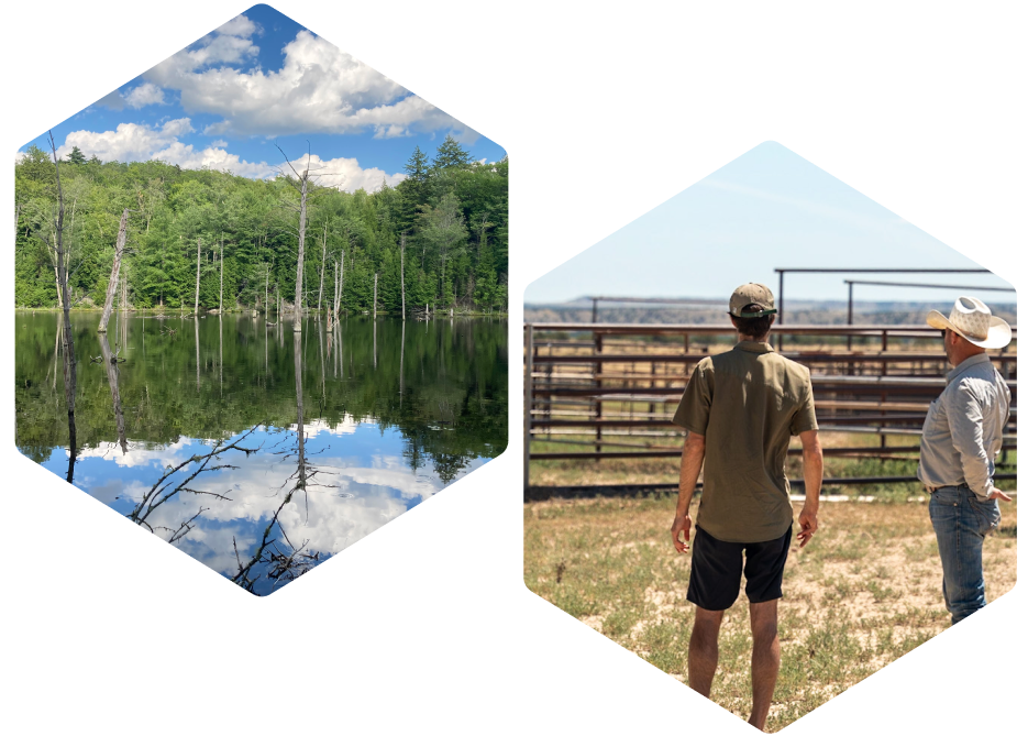 Tile images of trees growing out of a pond and two cowboys looking into the distance.