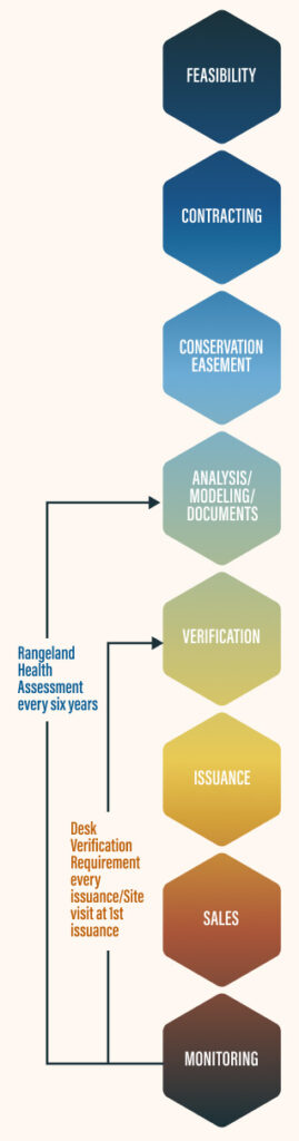 Grasslands - The Climate Trust