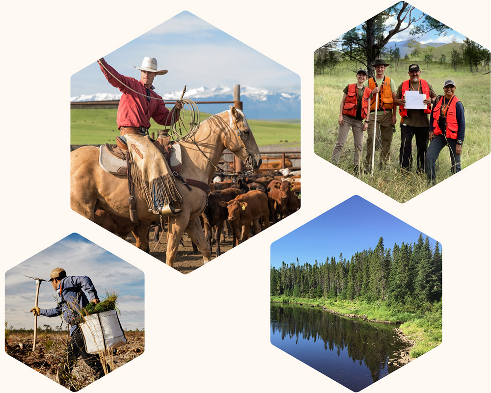 Tiles of images of individuals in nature like a cowboy, a team of scientists in the field, a cowboy, and an image of a blue river surrounded by bright evergreens.
