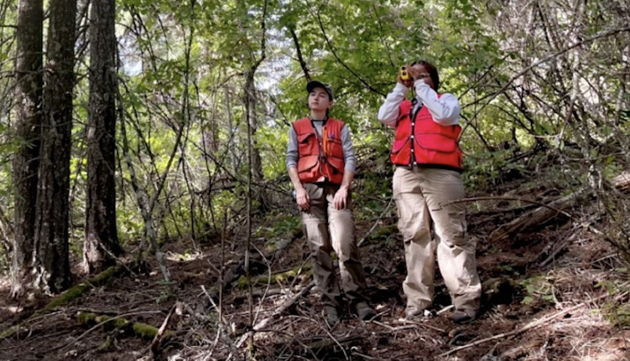 TCT staff conducting a forest inventory in the PNW.