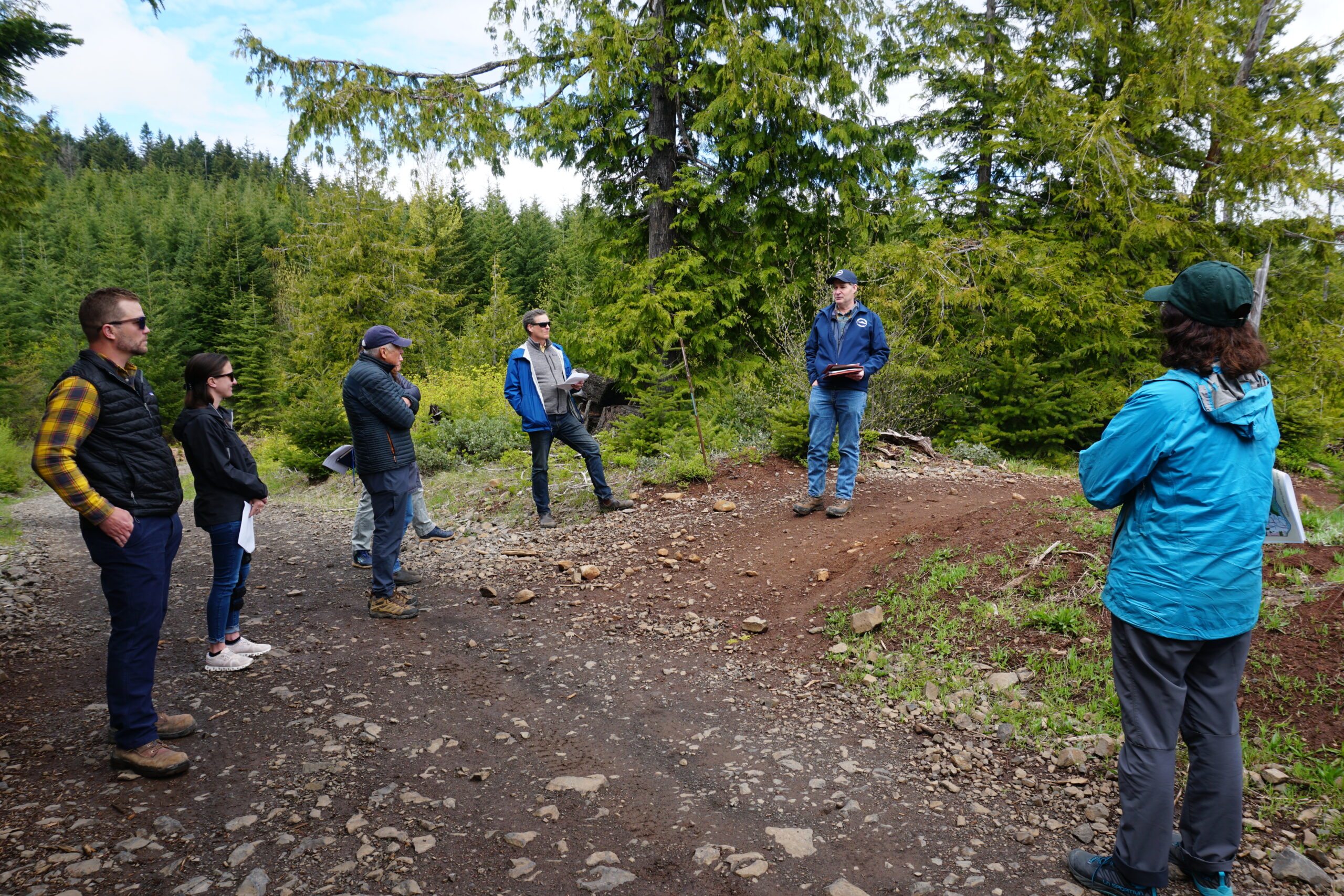 The Climate Trust team members talking in a forest