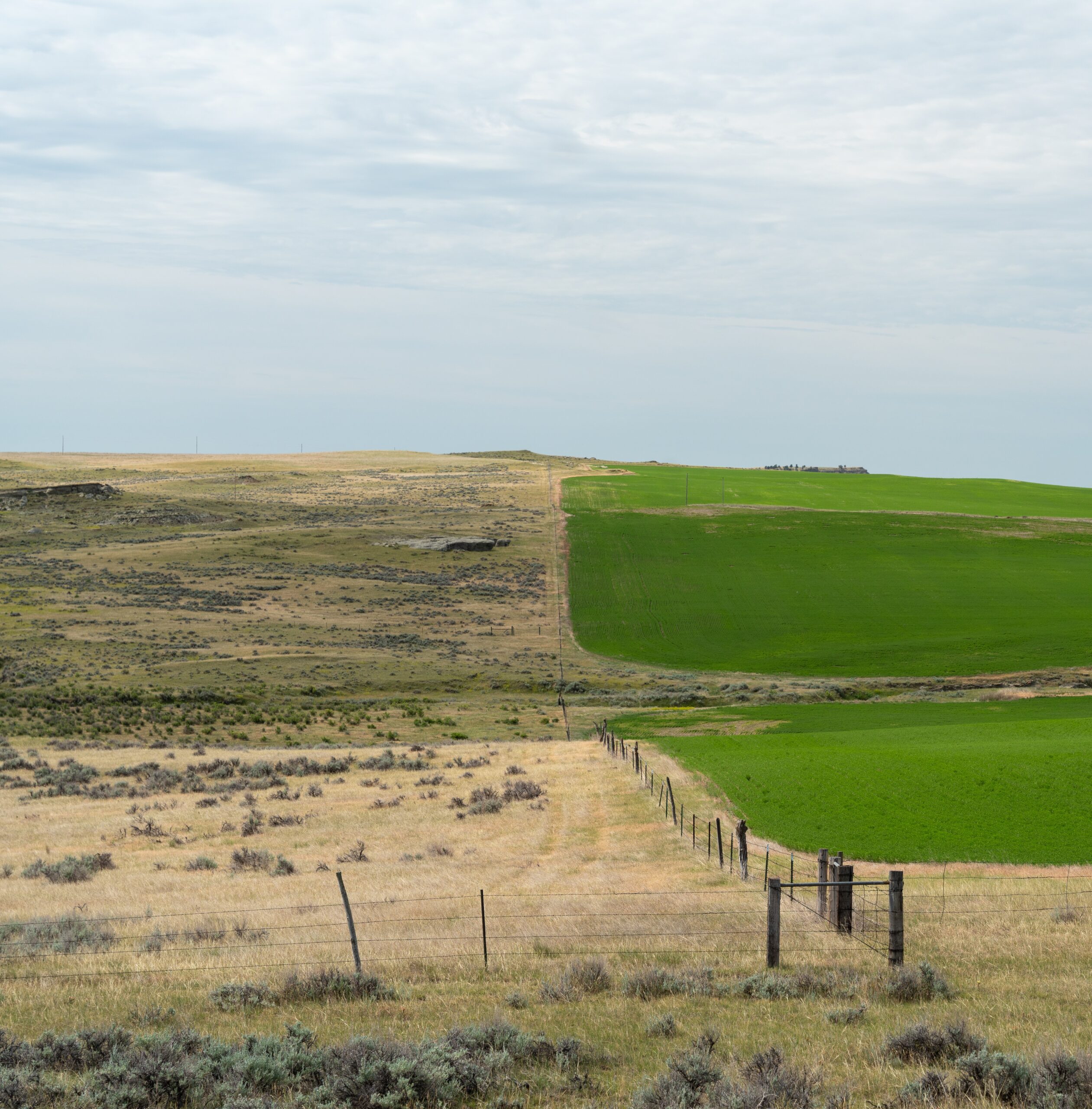 Fauth site visit