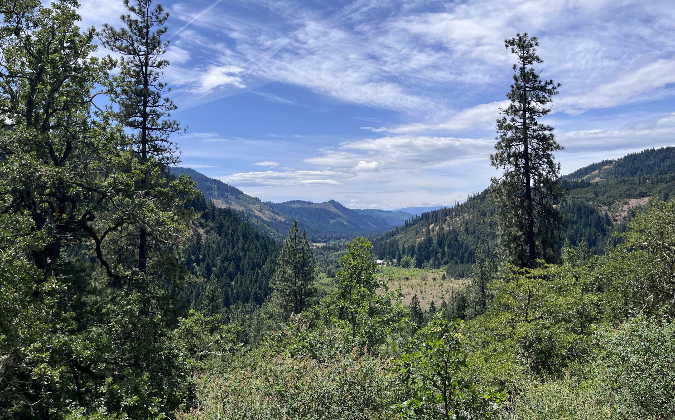 ICVCM Approves ACR Reforestation Methodology with CCP Label - The ...