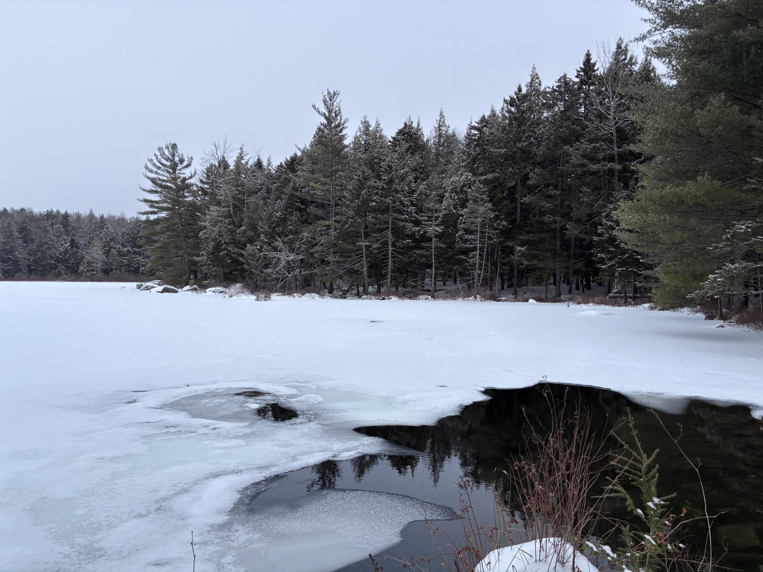 Winter scene with trees and snow on an icee lake