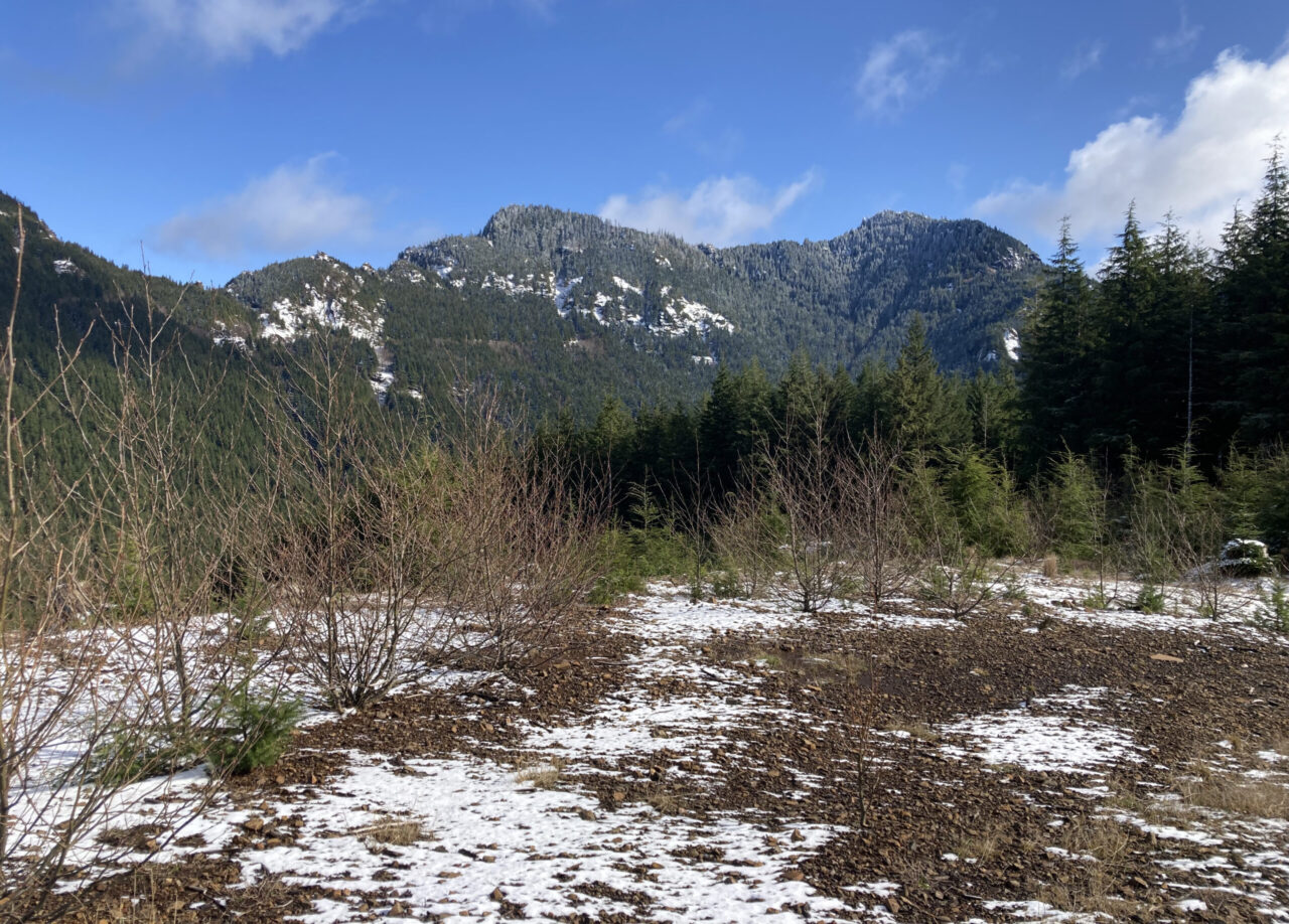 Mountain scene with blue skies and snowy hills