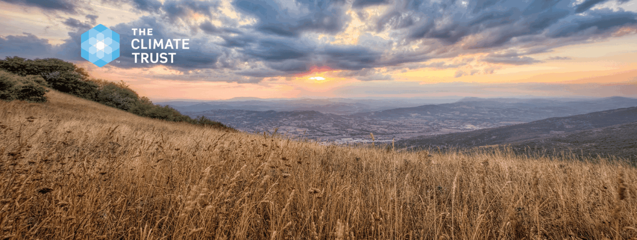 Field with tall grass with a valley and sunset below