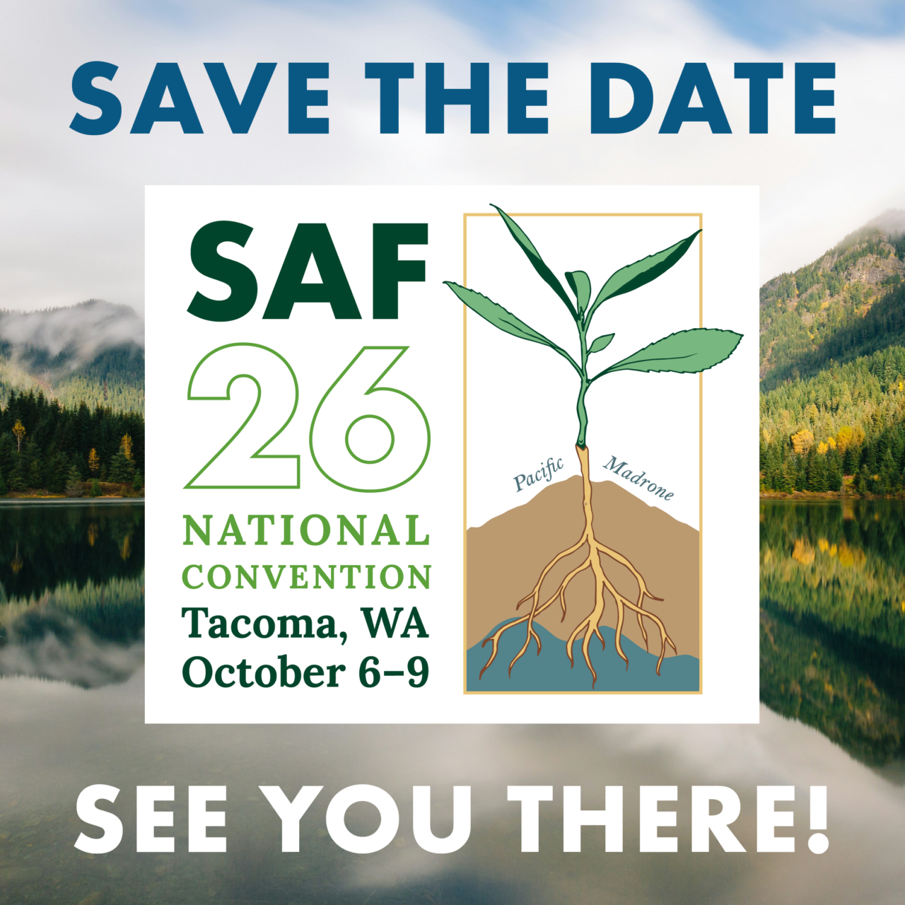 saf national convention